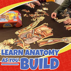 BodyQuest™ Anatomy Puzzle 🧠🧩 — Learn While You Play