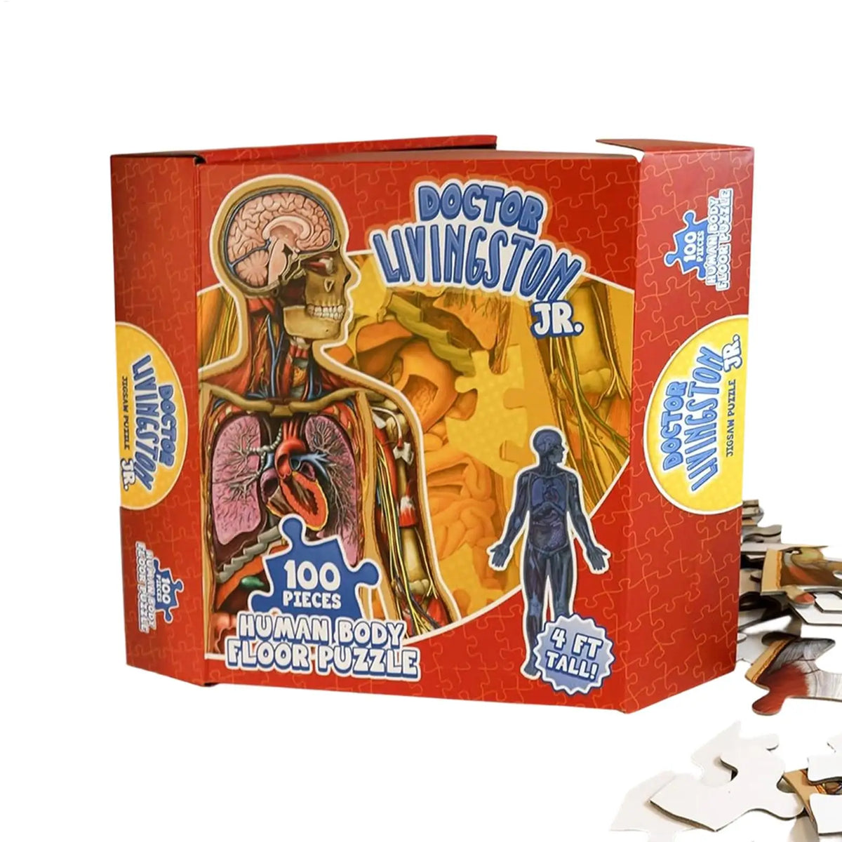 BodyQuest™ Anatomy Puzzle 🧠🧩 — Learn While You Play