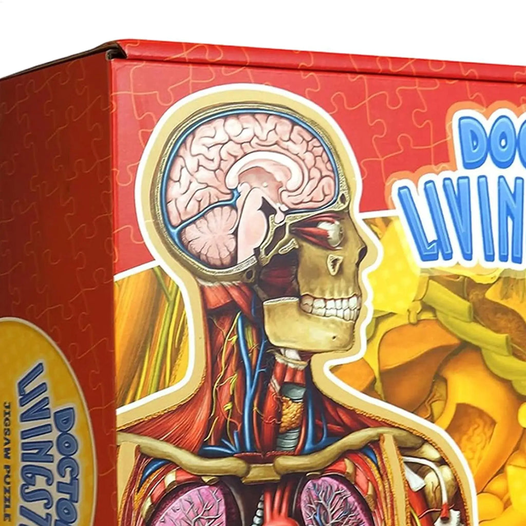 BodyQuest™ Anatomy Puzzle 🧠🧩 — Learn While You Play